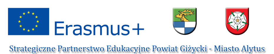 strategiczne partnerstwo edukacyjne